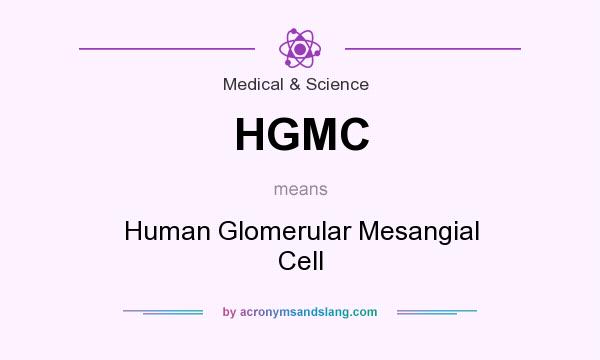 What does HGMC mean? It stands for Human Glomerular Mesangial Cell