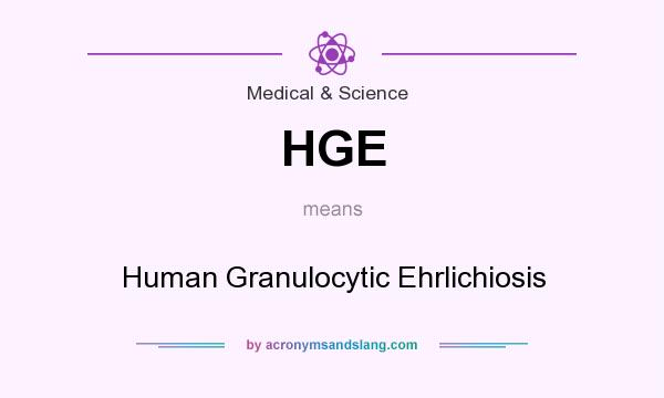 What does HGE mean? It stands for Human Granulocytic Ehrlichiosis