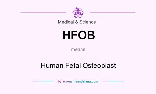 What does HFOB mean? It stands for Human Fetal Osteoblast
