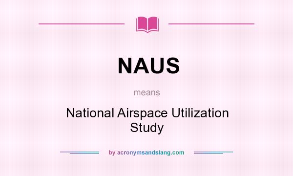 What does NAUS mean? It stands for National Airspace Utilization Study