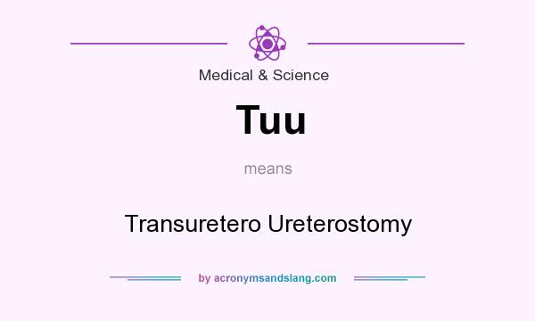 What does Tuu mean? It stands for Transuretero Ureterostomy