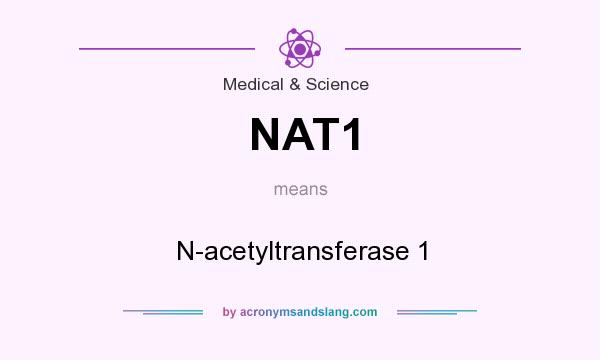 What does NAT1 mean? It stands for N-acetyltransferase 1