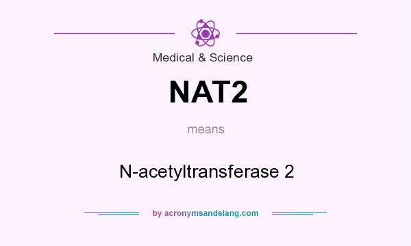 What does NAT2 mean? It stands for N-acetyltransferase 2