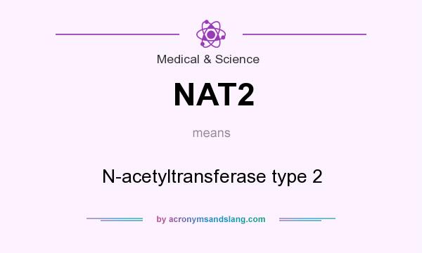 What does NAT2 mean? It stands for N-acetyltransferase type 2