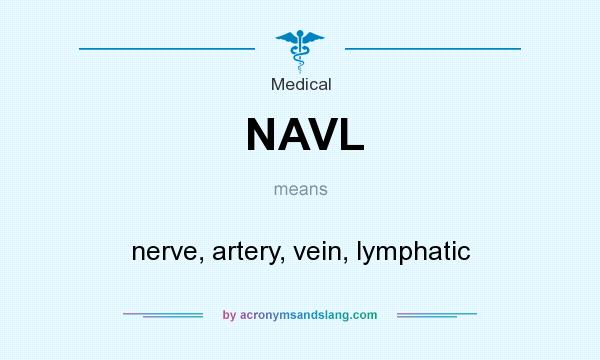 What does NAVL mean? It stands for nerve, artery, vein, lymphatic