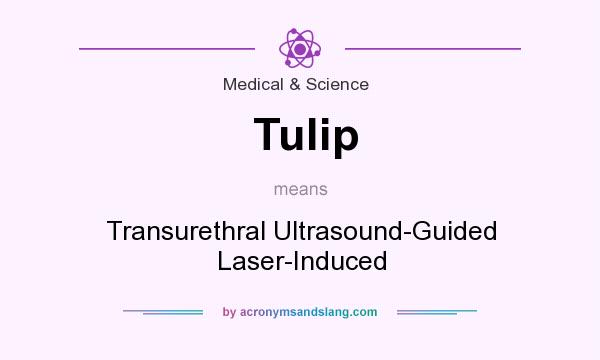 What does Tulip mean? It stands for Transurethral Ultrasound-Guided Laser-Induced