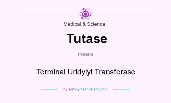 What does Tutase mean? It stands for Terminal Uridylyl Transferase