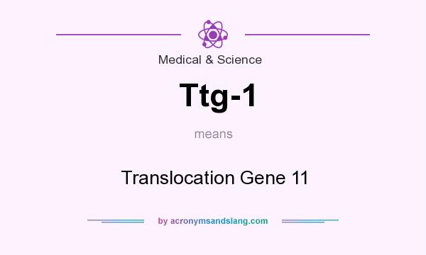 What does Ttg-1 mean? It stands for Translocation Gene 11