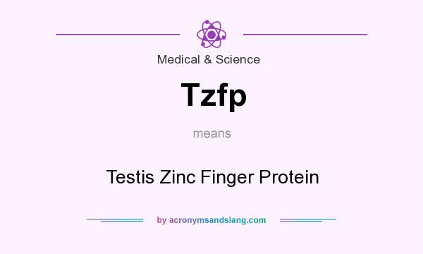 What does Tzfp mean? It stands for Testis Zinc Finger Protein