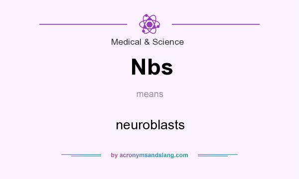 What does Nbs mean? It stands for neuroblasts