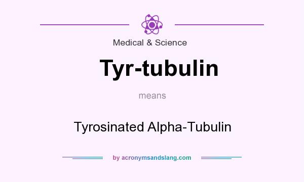 What does Tyr-tubulin mean? It stands for Tyrosinated Alpha-Tubulin