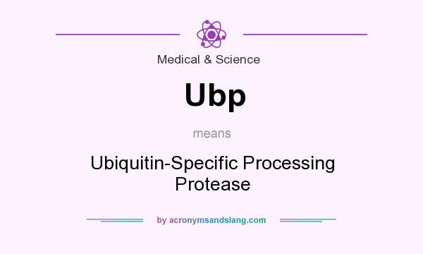 What does Ubp mean? It stands for Ubiquitin-Specific Processing Protease