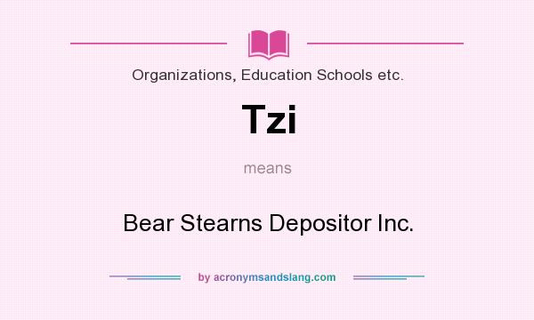 What does Tzi mean? It stands for Bear Stearns Depositor Inc.
