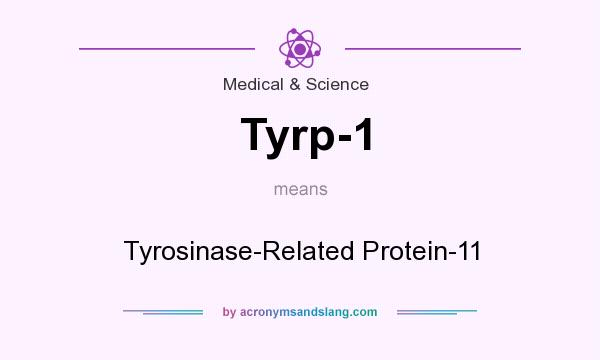 What does Tyrp-1 mean? It stands for Tyrosinase-Related Protein-11