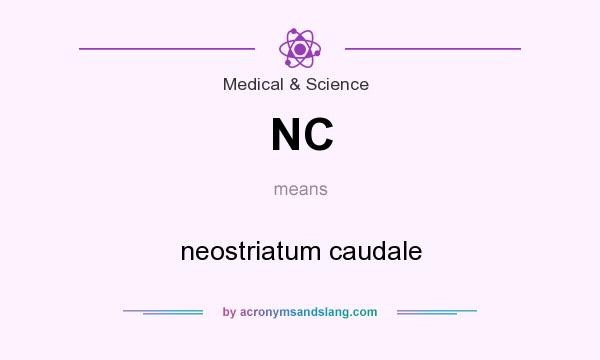 What does NC mean? It stands for neostriatum caudale