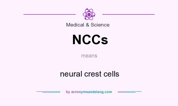 What does NCCs mean? It stands for neural crest cells