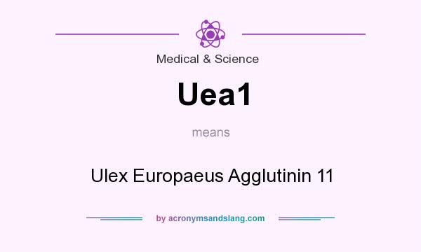 What does Uea1 mean? It stands for Ulex Europaeus Agglutinin 11