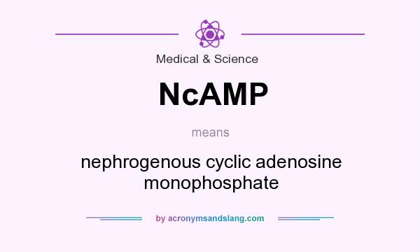 What does NcAMP mean? It stands for nephrogenous cyclic adenosine monophosphate