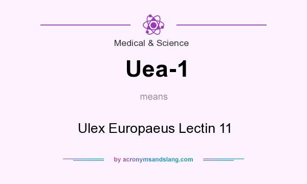 What does Uea-1 mean? It stands for Ulex Europaeus Lectin 11