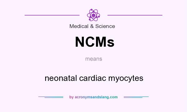 What does NCMs mean? It stands for neonatal cardiac myocytes