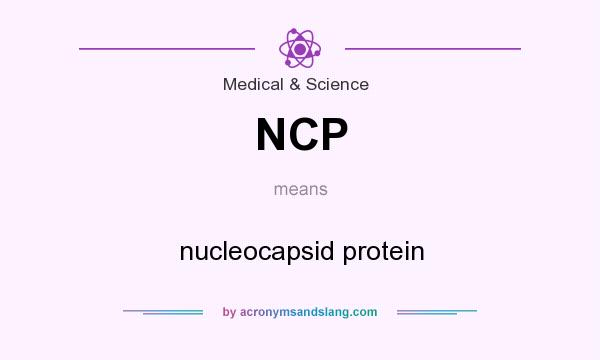 What does NCP mean? It stands for nucleocapsid protein
