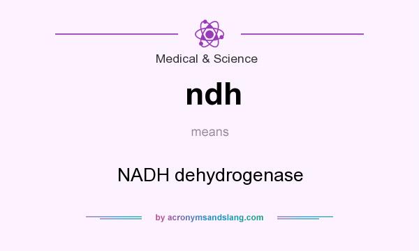 What does ndh mean? It stands for NADH dehydrogenase