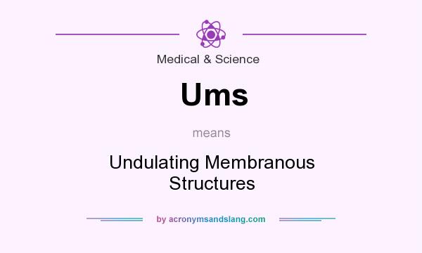 What does Ums mean? It stands for Undulating Membranous Structures