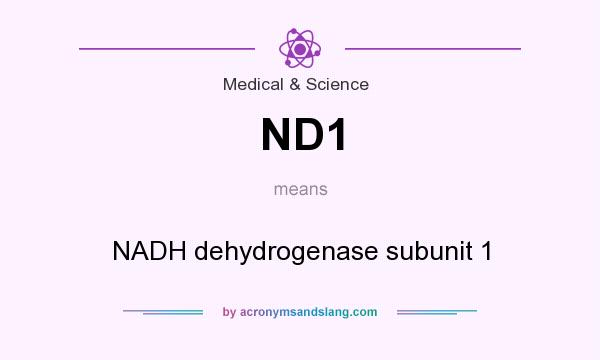 What does ND1 mean? It stands for NADH dehydrogenase subunit 1