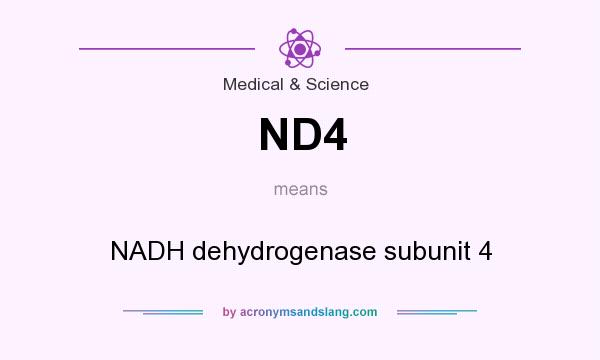 What does ND4 mean? It stands for NADH dehydrogenase subunit 4
