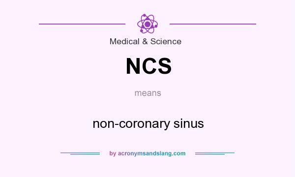 What does NCS mean? It stands for non-coronary sinus