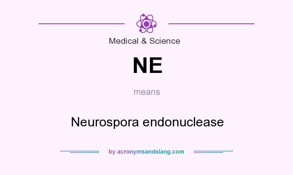 What does NE mean? It stands for Neurospora endonuclease