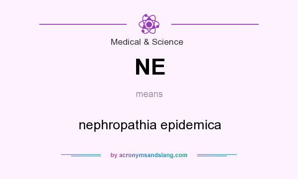 What does NE mean? It stands for nephropathia epidemica