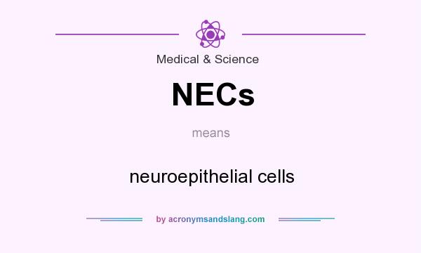 What does NECs mean? It stands for neuroepithelial cells