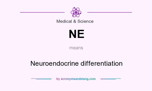 What does NE mean? It stands for Neuroendocrine differentiation
