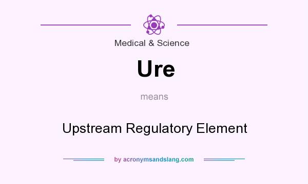 What does Ure mean? It stands for Upstream Regulatory Element