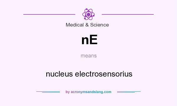 What does nE mean? It stands for nucleus electrosensorius