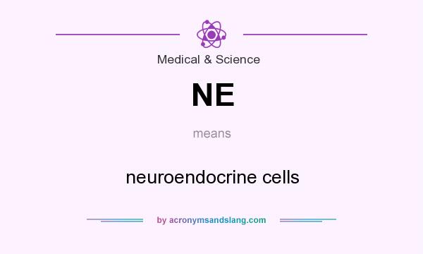 What does NE mean? It stands for neuroendocrine cells