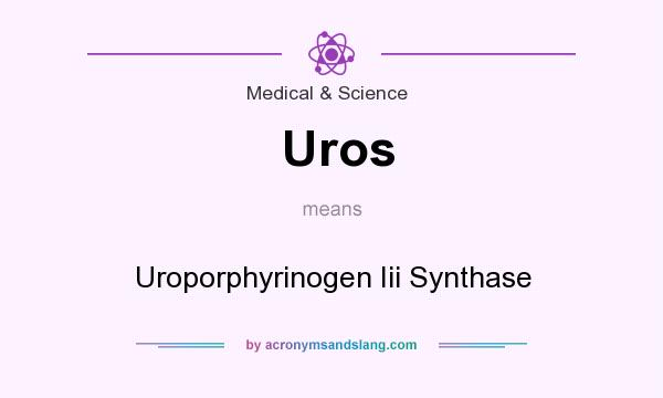 What does Uros mean? It stands for Uroporphyrinogen Iii Synthase