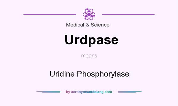 What does Urdpase mean? It stands for Uridine Phosphorylase