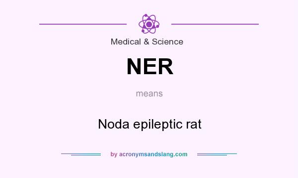 What does NER mean? It stands for Noda epileptic rat