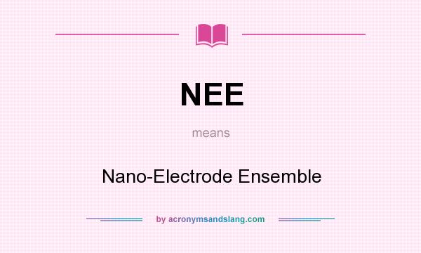 What does NEE mean? It stands for Nano-Electrode Ensemble
