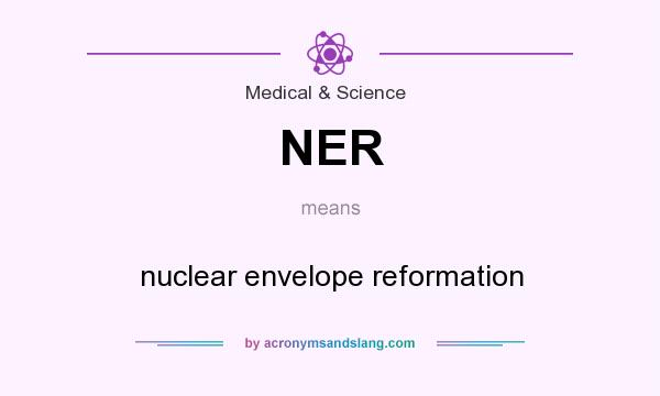 What does NER mean? It stands for nuclear envelope reformation