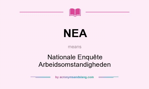 What does NEA mean? It stands for Nationale Enquête Arbeidsomstandigheden