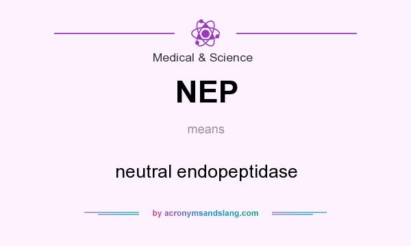 What does NEP mean? It stands for neutral endopeptidase