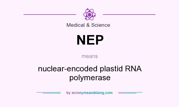 What does NEP mean? It stands for nuclear-encoded plastid RNA polymerase