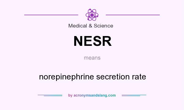 What does NESR mean? It stands for norepinephrine secretion rate