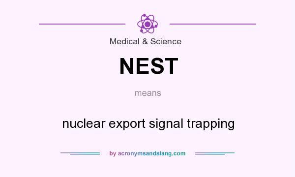 What does NEST mean? It stands for nuclear export signal trapping