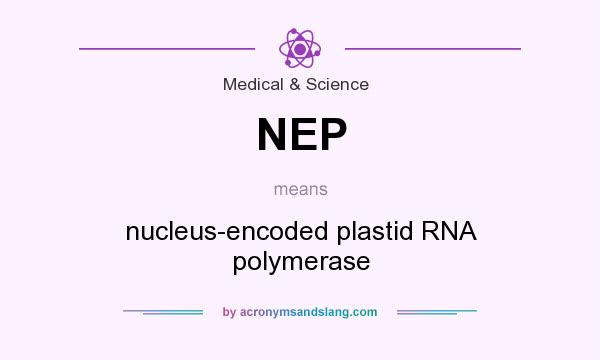 What does NEP mean? It stands for nucleus-encoded plastid RNA polymerase