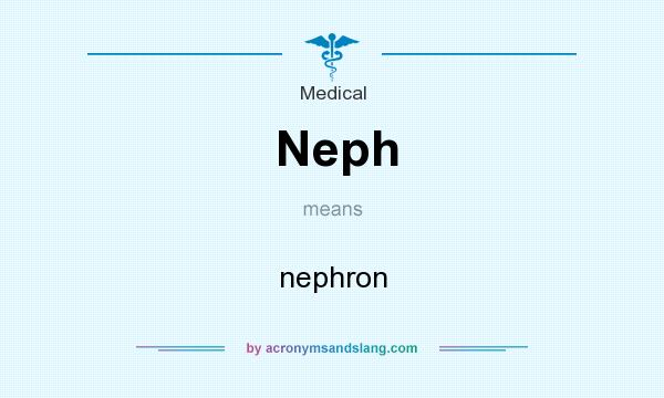 What does Neph mean? It stands for nephron