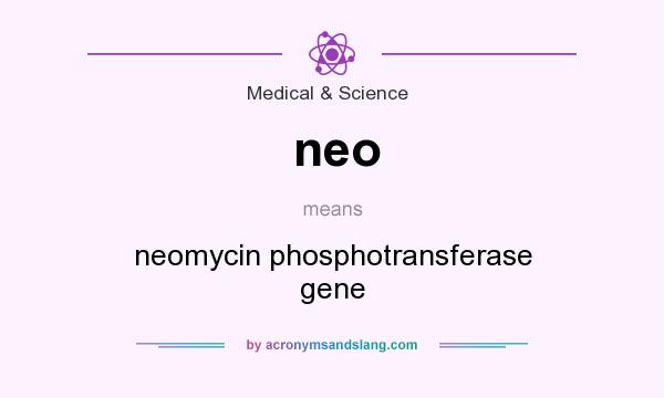 What does neo mean? It stands for neomycin phosphotransferase gene